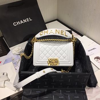 Chanel Leboy 2020 Hanbag In White Size 20cm