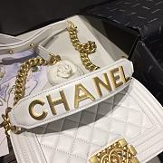 Chanel Leboy 2020 Hanbag In White Size 20cm - 2