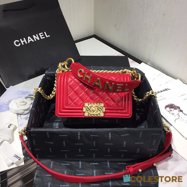 Chanel Leboy 2020 Hanbag In Red Size 20cm - 1