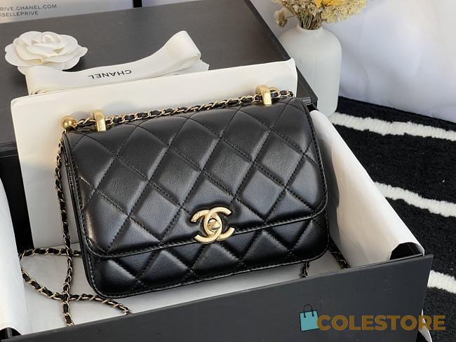 Chanel Flap Bags 2020 Ready-To-Wear Collection Size 20x14x7cm - 1