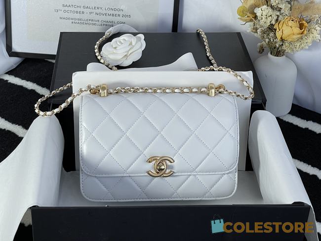 Chanel Flap Bag In White 2020 Ready-to-Wear Collection Size 20x14x7cm - 1