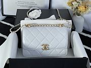Chanel Flap Bag In White 2020 Ready-to-Wear Collection Size 20x14x7cm - 1