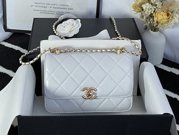 Chanel Flap Bag In White 2020 Ready-to-Wear Collection Size 20x14x7cm