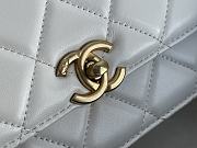 Chanel Flap Bag In White 2020 Ready-to-Wear Collection Size 20x14x7cm - 6