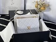 Chanel Flap Bag In White 2020 Ready-to-Wear Collection Size 20x14x7cm - 5