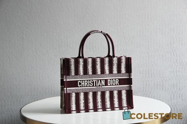 Dior Book Tote Stripes Embroidery Multisize  - 1