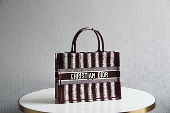 Dior Book Tote Stripes Embroidery Multisize 