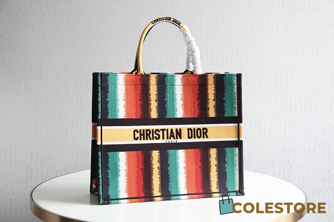 Dior Book Tote Multicolor D-Stripes Embroidery Bag M1286 Multisize  - 1