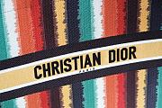 Dior Book Tote Multicolor D-Stripes Embroidery Bag M1286 Multisize  - 6