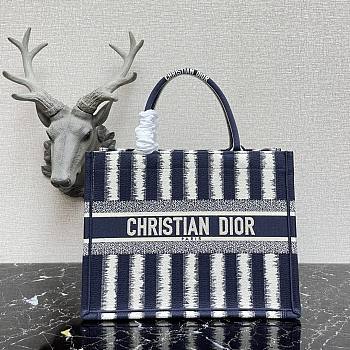 Dior Book Tote Blue D-Stripes Embroidery Size 36.5cm