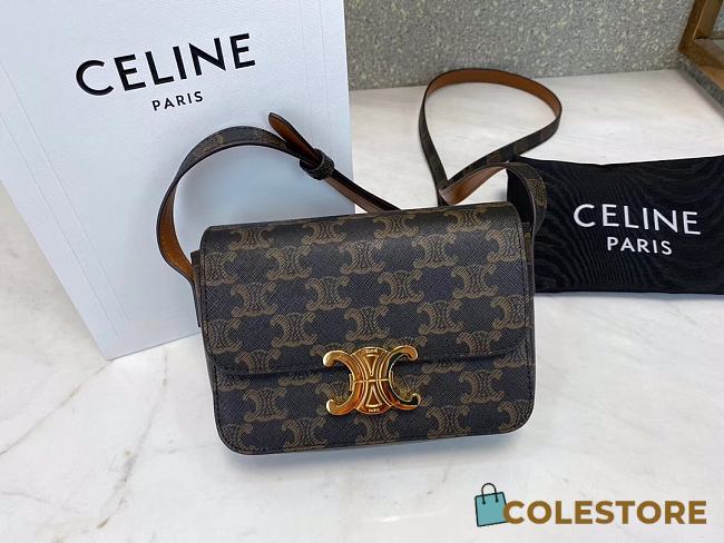 Ceiline Medium Triomphe Bag In Triomphe Canvas And Calfskin Size 16.5x11.5x5cm - 1