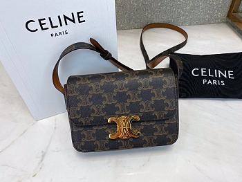 Ceiline Medium Triomphe Bag In Triomphe Canvas And Calfskin Size 16.5x11.5x5cm