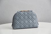 Dior Caro Beauty Pouch Calfskin S5047 Size 23x15.5x7.5cm - 4