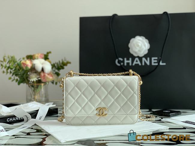 Chanel New Wallet WOC 33814 19cm - 1