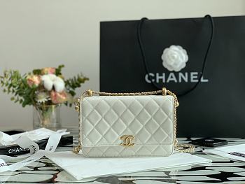 Chanel New Wallet WOC 33814 19cm