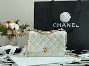 Chanel New Wallet WOC 33814 19cm - 2