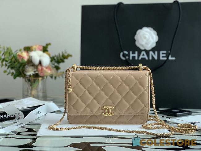 Chanel New Wallet On Chain WOC Beige 33814 Size 19cm - 1