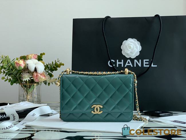 Chanel New Wallet On Chain WOC Blue 33814 Size 19cm - 1