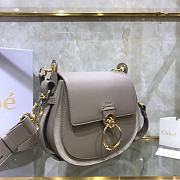 Chloe Small Tess Bag In Shiny Suede Calfskin In Motty Gray CHC18 20x18x7cm - 3