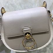 Chloe Small Tess Bag In Shiny Suede Calfskin In Motty Gray CHC18 20x18x7cm - 2