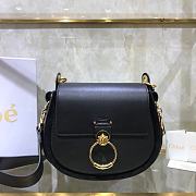 Chloe Small Tess Bag In Shiny Suede Calfskin In Night Forest CHC18 20x18x7cm - 1