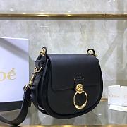 Chloe Small Tess Bag In Shiny Suede Calfskin In Night Forest CHC18 20x18x7cm - 6