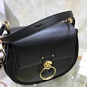 Chloe Small Tess Bag In Shiny Suede Calfskin In Night Forest CHC18 20x18x7cm - 3