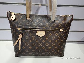 Louis Vuitton Iena Pm Monogram Canvas