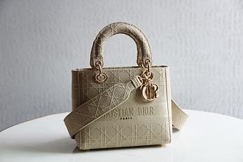 Lady Dior D Lite 44532 Size 24x20x11cm
