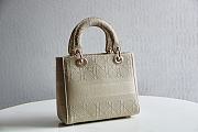 Lady Dior D Lite 44532 Size 24x20x11cm - 4