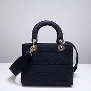 Lady Dior D Lite 44532 24x20x11cm - 5