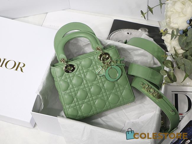 Lady Dior ABC In Green M8013 Size 20x16.5x8cm - 1