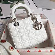Lady Dior Lucky Badges White Size 20x17x9cm - 2