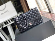 Chanel Classsic Caviar Leather 25.5cm - 1