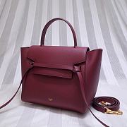 Ceiline Pico Belt Bag In Grained Calfskin 194263 Size 15x13x9 cm - 4