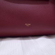Ceiline Pico Belt Bag In Grained Calfskin 194263 Size 15x13x9 cm - 6