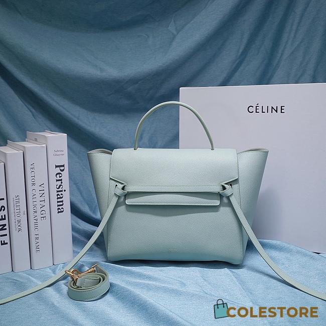 Ceiline Pico Belt Bag In Grained Calfskin Vert D'eau 194263 Size 15x13x9 cm - 1
