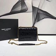 YSL Tortoise Pattern Bag 442905 Size: 19x13x9cm - 4