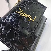YSL Tortoise Pattern Bag 442905 Size: 19x13x9cm - 3