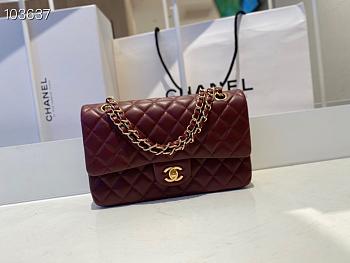 Chanel Classic Flap Bag Golden Chain Size 25cm