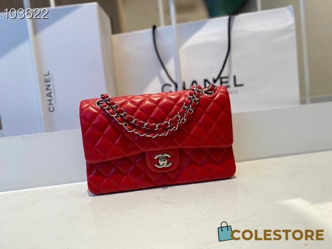 Chanel Classic Flap Bag Silver Chain In Red Size 25cm - 1