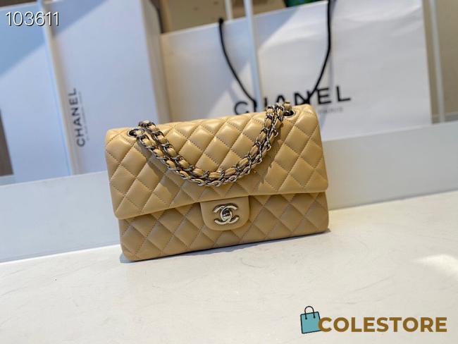 Chanel Classic Flap Bag Golden Chain In Light Beige Size 25cm - 1