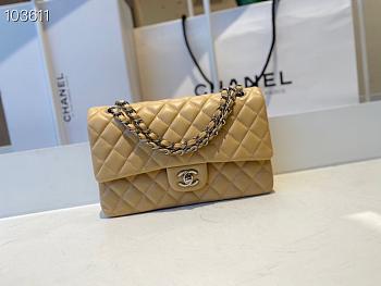 Chanel Classic Flap Bag Golden Chain In Light Beige Size 25cm