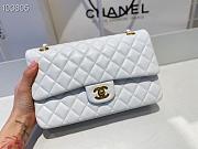 Chanel Classic Flap Bag Lamskin Golden Chain In White Size 25cm - 6