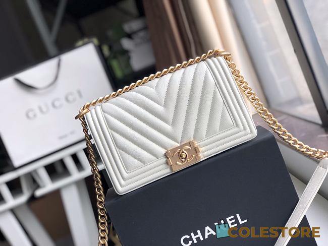 Chanel Le Boi 19 Cowhide In White Leather 67086 Size: 25×15×7.5cm - 1