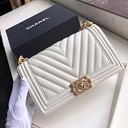 Chanel Le Boi 19 Cowhide In White Leather 67086 Size: 25×15×7.5cm - 6