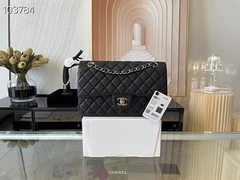 Colestore Chanel Medium Classic Bag A58600 25.5cm