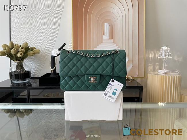 Chanel Medium Classic Flap Bag In Dark Green A58600 Size 25.5cm - 1