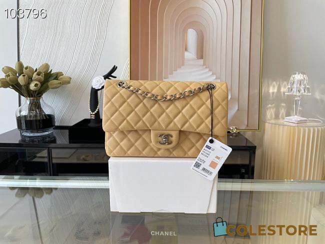 Chanel Medium Classic Flap Bag In Beige A58600 Size 25.5cm - 1