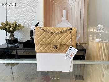 Chanel Medium Classic Flap Bag In Beige A58600 Size 25.5cm